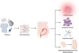 How Reducing Plastic Exposure Can Improve Your Health