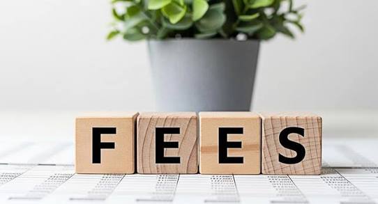 MONTHLY FEES — A NIGHTMARE FOR SELF-EMPLOYED PEOPLE